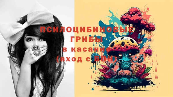 apvp Богородицк